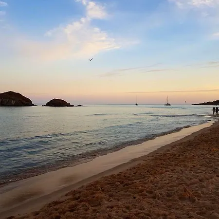 I Limoni Del Sud Sardegna *