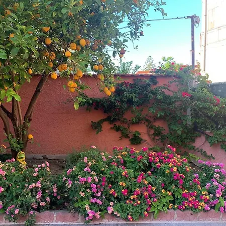 Dom wakacyjny I Limoni Del Sud Sardegna
