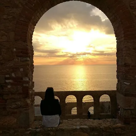 I Limoni Del Sud Sardegna * アッセミニ