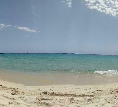 I Limoni Del Sud Sardegna