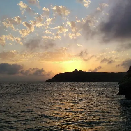 I Limoni Del Sud Sardegna * アッセミニ