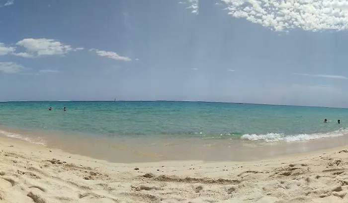 I Limoni Del Sud Sardegna